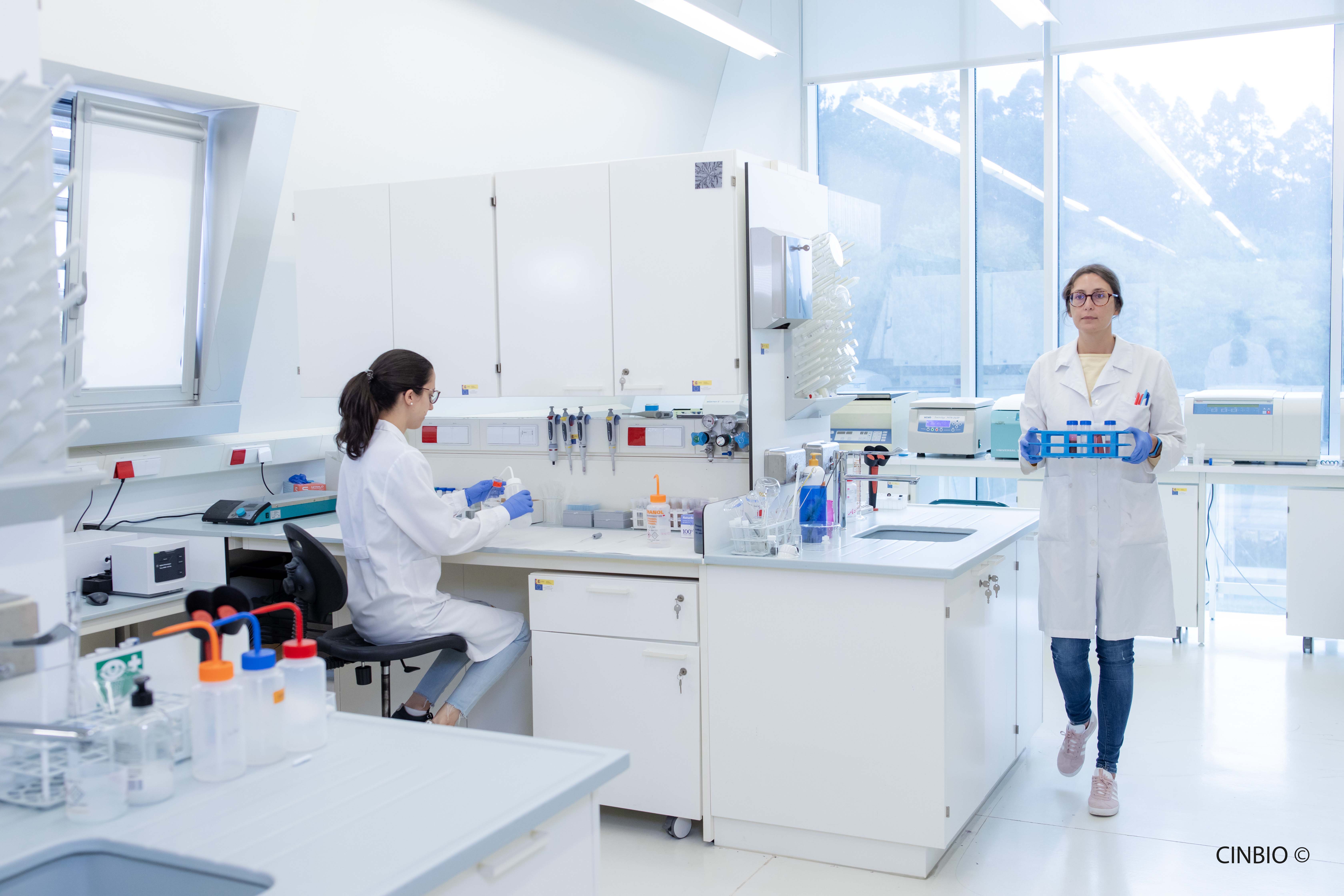 Novo Programa de Doutoramento en Nanociencia e Biomedicina