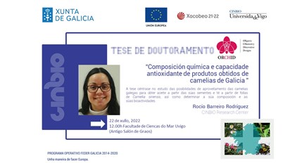 Tese doutoral - Rocío Barreiro Rodríguez