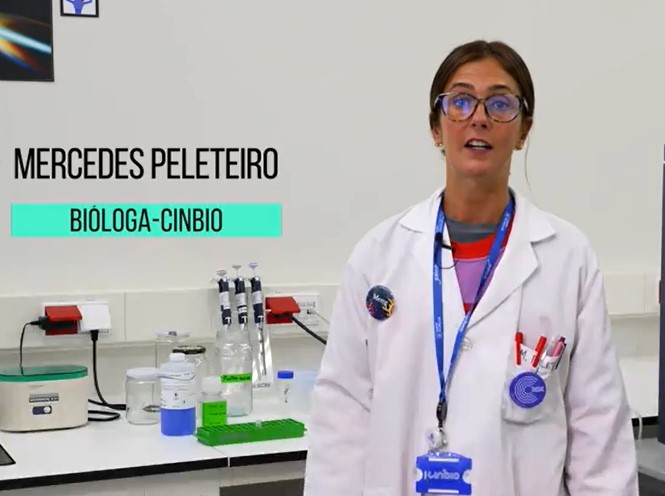 Como sería a vacina perfecta?