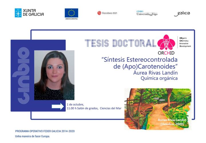 Tese doutoral - Áurea Rivas Landín