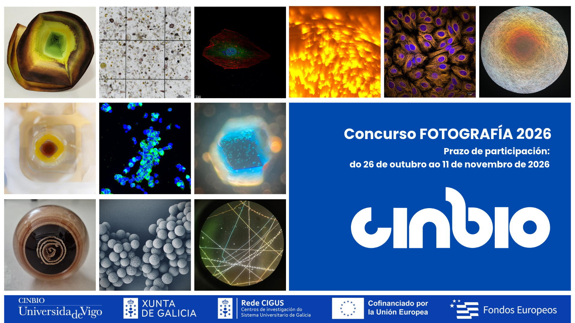 VI Concurso de fotografía CINBIO (2026)