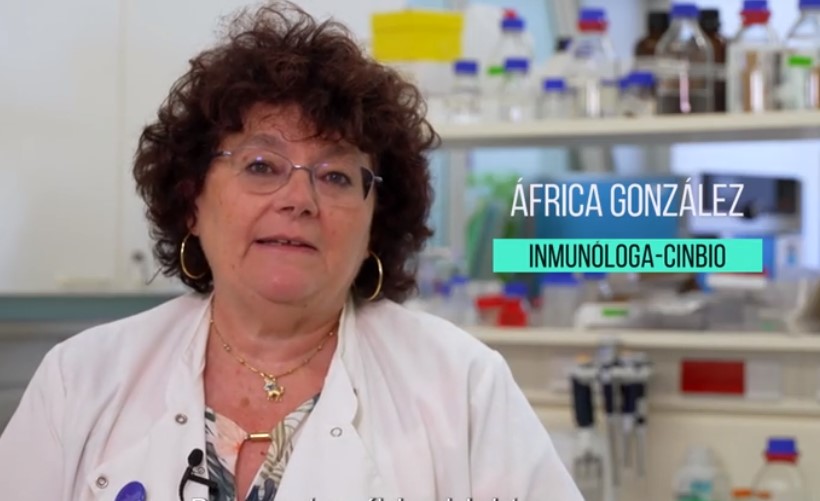 Por que ás veces o sistema inmune ata ás células?