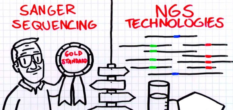 Seminario 7jun2018. Adaptive immune response using NGS technologies