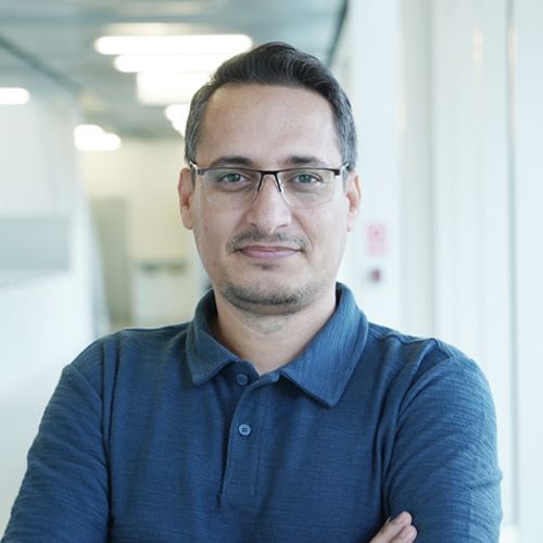 Mohammad Mahmoudian
