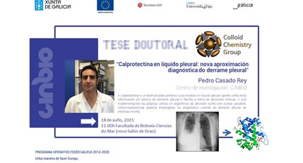 Tese doutoral: Pedro Casado Rey