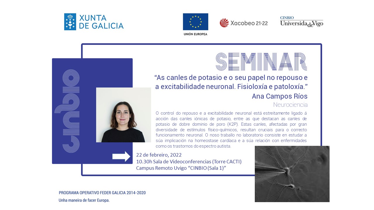 As canles de potasio e o seu papel no repouso e a excitabilidade neuronal. Fisioloxía e patoloxía.