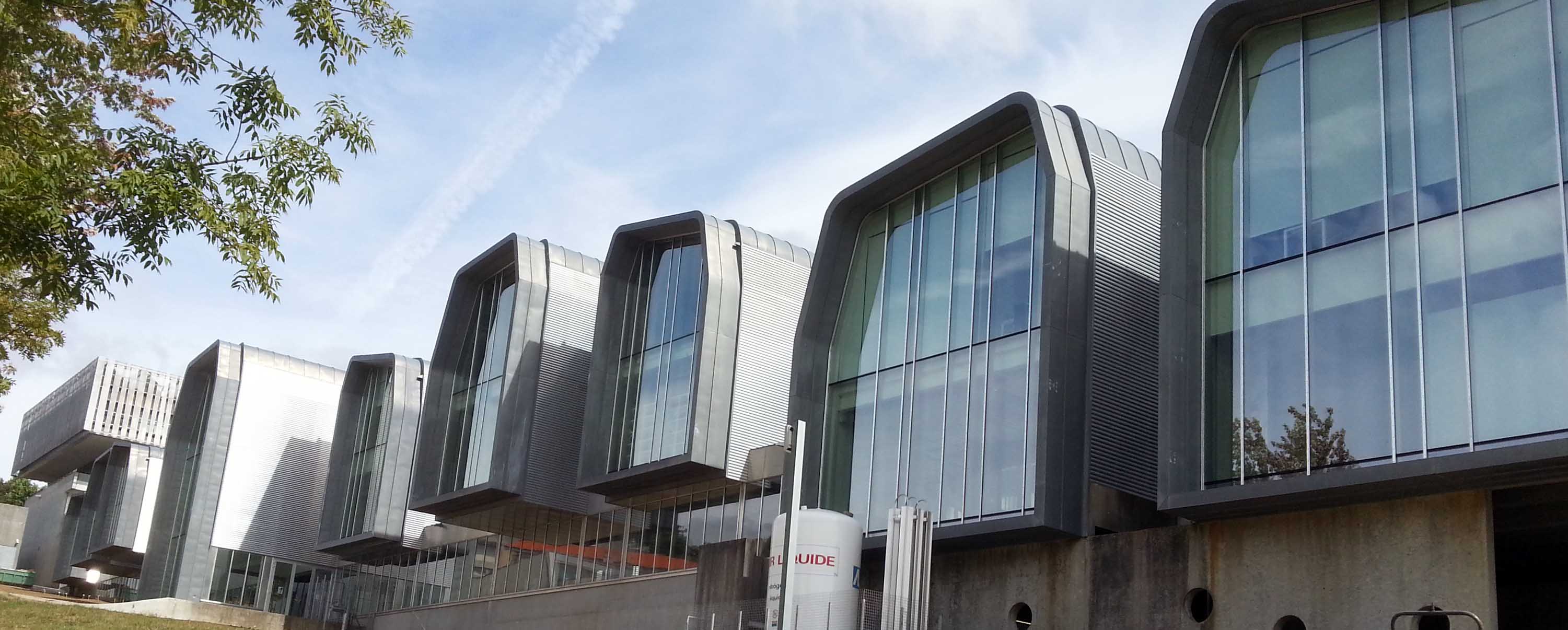 Peche do centro polas vacacións de verán