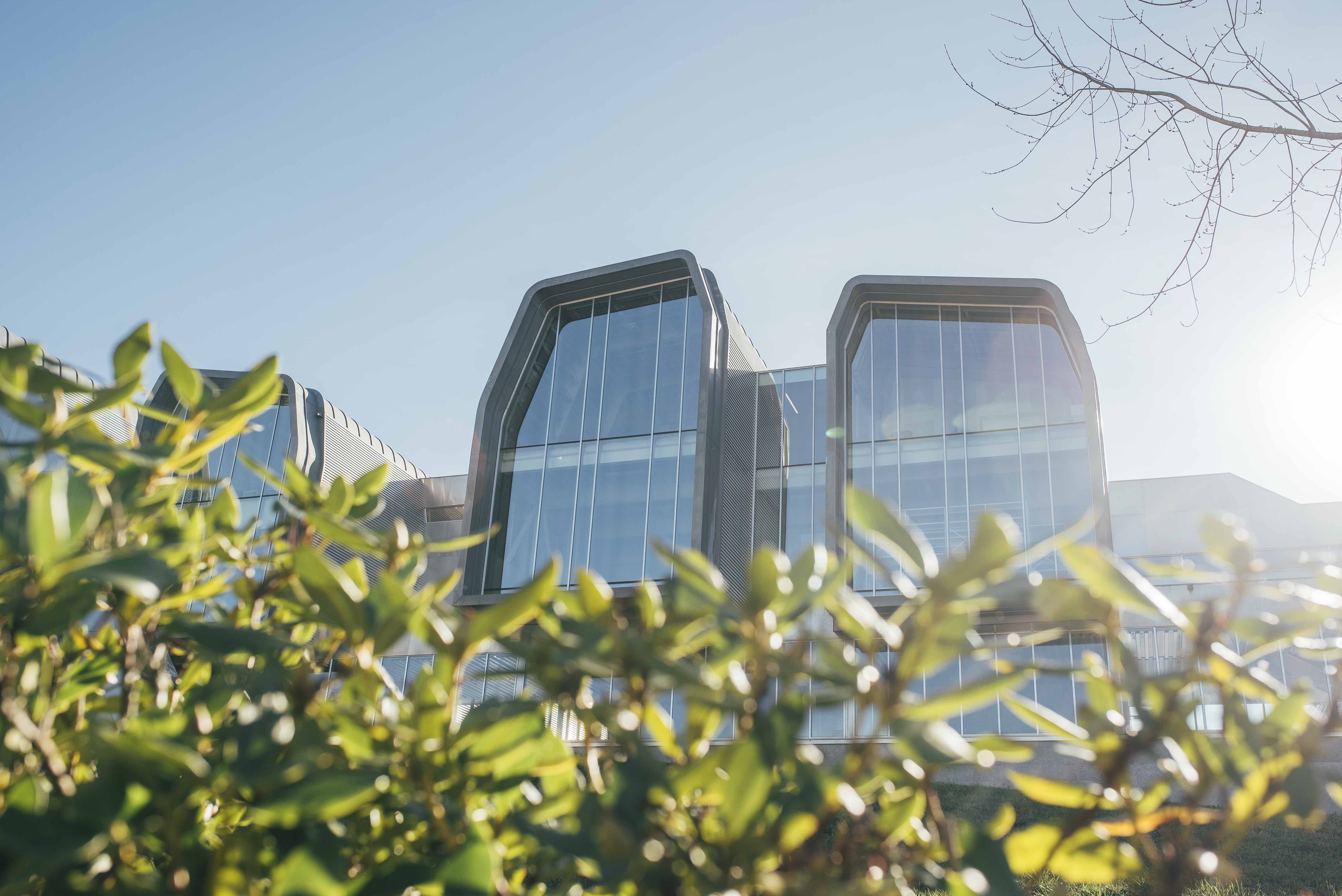 Bolsas Fundaci&#243;n BBVA