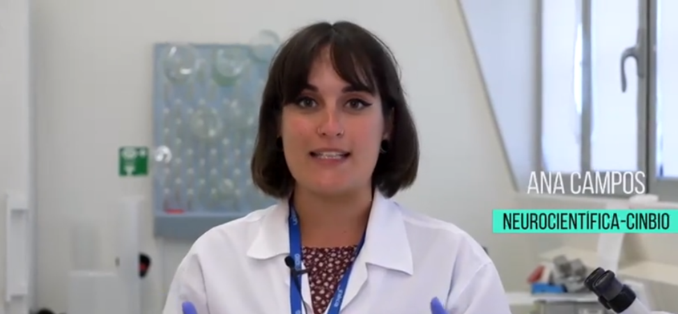 Temos neuronas por todo o corpo?