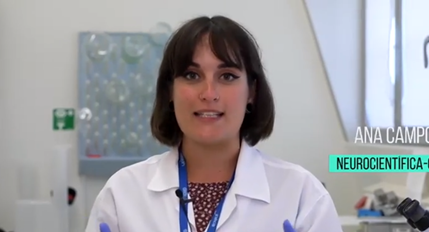 Temos neuronas por todo o corpo?