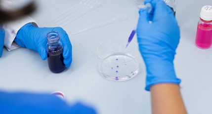 Comeza un novo curso conectando a "Ciencia con C de CINBIO"