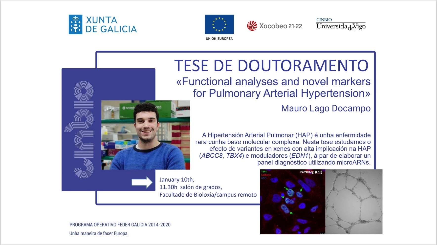 Tese doutoral - Mauro Lago Docampo