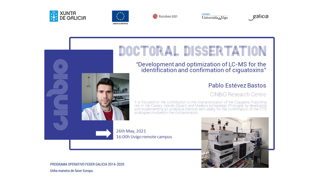 Tese doutoral: Pablo Estévez Bastos