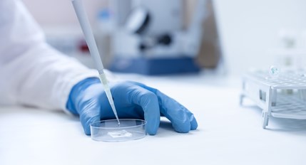 Foro NaSOS – Nanomedicina sostible: retos e solucións