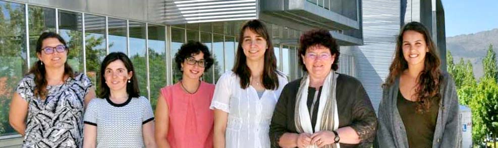 Inmunoterapia para o cancro de páncreas