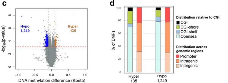 Seminario 5jul2018. Biopsia líquida no cancro colorretal